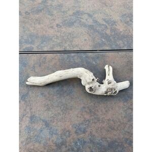 Natural Driftwood for Plants Terrarium Taxidermy Art Projects